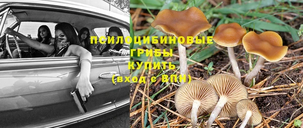 COCAINE Михайловск