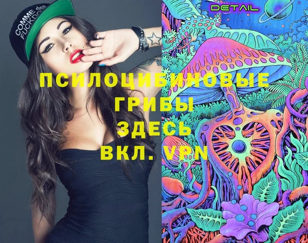 бошки Михайлов