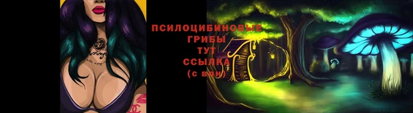 бошки Михайлов