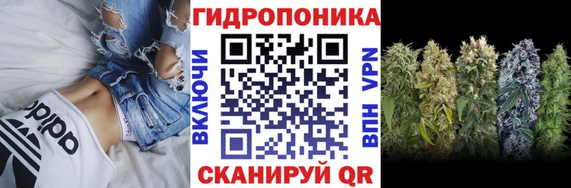 МАРИХУАНА гибрид  Купить  Сегежа 